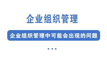 企业组织管理可能出现的问题